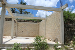 Pluchea carolinensis