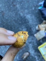 Leucogaster rubescens