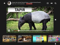 Tapirus