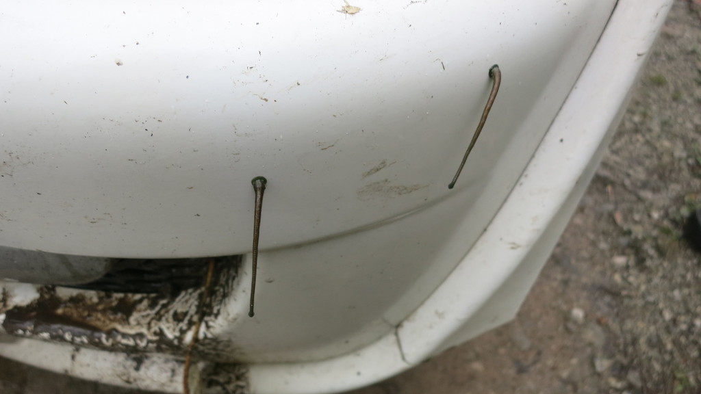 Leeches from West Kameng, INAR, IN on April 21, 2017 at 0941 PM by