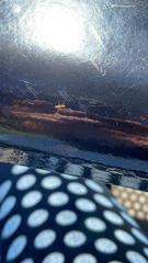 Pseudomyrmex pallidus