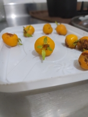 Eugenia luschnathiana