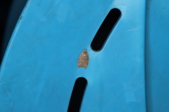 Scythropiodes