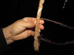 Hydnocristella himantia