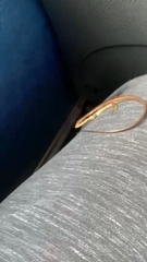 Eutropis longicaudata