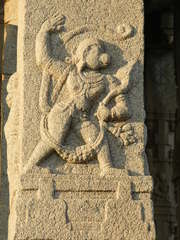 Semnopithecus hypoleucos