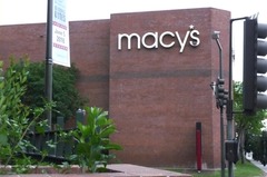 Corvus brachyrhynchos