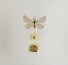 Apterona helicoidella