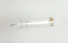 Apterona helicoidella