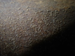 Gobiomorphus huttoni