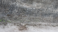 Erythrolamprus almadensis