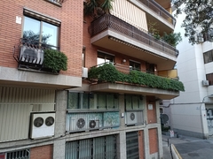 Mesembryanthemum cordifolium