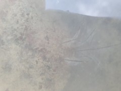 Macrorhynchia philippina