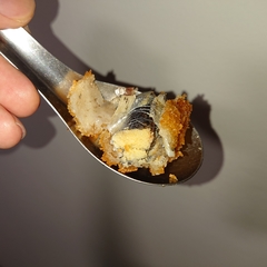 Spirinchus lanceolatus