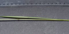 Poa ensiformis