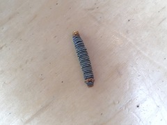 Psychomorpha epimenis