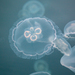 Greater Moon Jelly - Photo (c) Sherry Kirkvold, some rights reserved (CC BY-NC), uploaded by Sherry Kirkvold