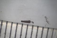 Comatricha vineatilis