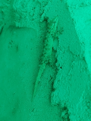 Hemidactylus brookii