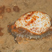 Palmadusta lentiginosa - Photo (c) Abhishek Jamalabad, algunos derechos reservados (CC BY-NC-SA), subido por Abhishek Jamalabad