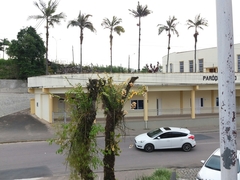 Dendrobium moschatum