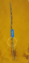 Oxyrhopus guibei