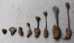 Pseudotulostoma volvatum