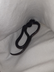 Atractaspis bibronii