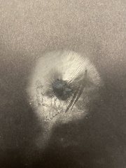 Lactarius subflammeus