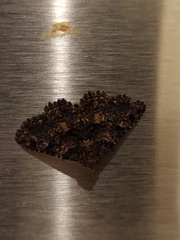 Metalectra praecisalis