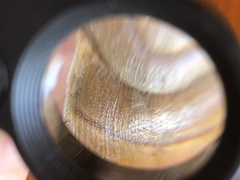 Helminthoglypta diabloensis