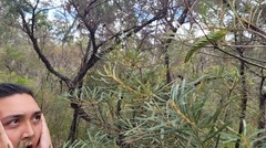 Coequosa triangularis