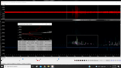 Lasiurus intermedius