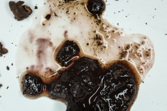 Ionomidotis irregularis