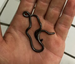 Incognito Thread Snake