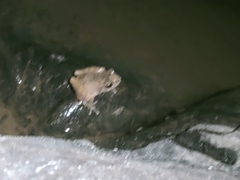 Raorchestes parvulus