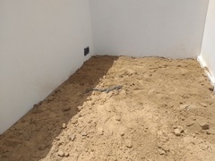 Salvator merianae merianae