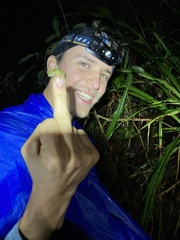 Pristimantis eriphus