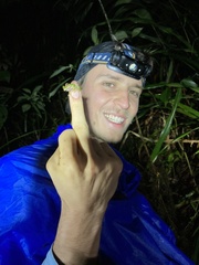 Pristimantis eriphus