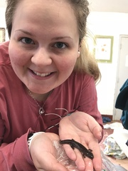 Desmognathus brimleyorum