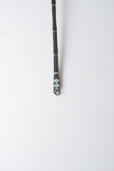 Caledopteryx maculata