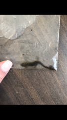 Desmognathus brimleyorum