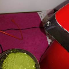 Asaphobelis physonychus