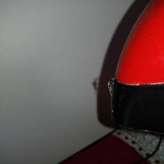 Asaphobelis physonychus