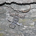 Hemidactylus graniticolus - Photo (c) Ashwin Viswanathan, algunos derechos reservados (CC BY), subido por Ashwin Viswanathan