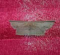 Phalacra vidhisara
