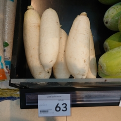 Raphanus sativus longipinnatus