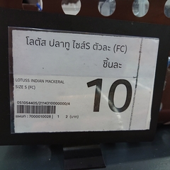 Rastrelliger brachysoma