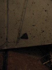 Arippara indicator