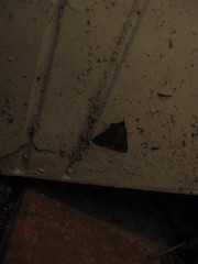 Arippara indicator